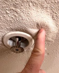 water damage plaster bobbling [location]